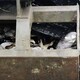 香港废贵金属收购厂家电话图