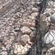 鉛絲籠廠家批發圖