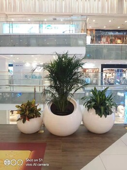 東城慶典花卉綠植組合租賃方案花卉組合出租
