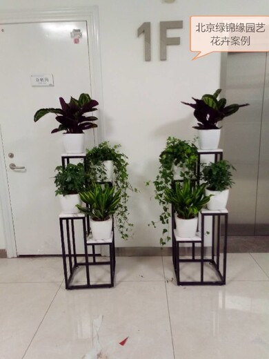 北京东城办公室花卉绿植组合租摆服务,花卉组合出租