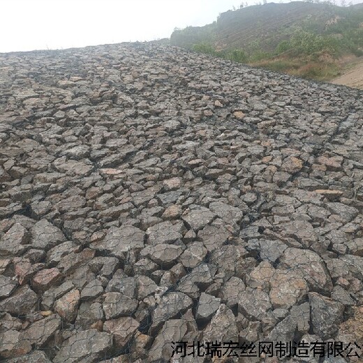 江苏生态绿滨垫生产厂家