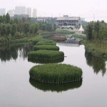 昆玉凈化水質(zhì)生態(tài)浮床廠家批發(fā)圖片