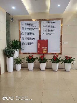 通州花卉綠植組合租賃價(jià)格花卉組合銷售