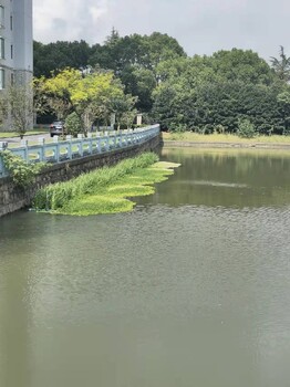 新疆水生植物種植生態(tài)浮島