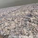海南鉛絲籠圖