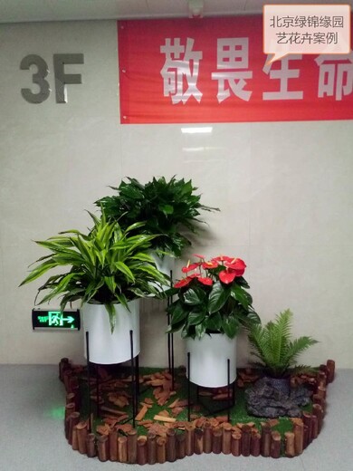 通州办公室花卉绿植组合租赁多少钱一年花卉组合出租