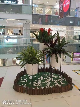 北京朝外花卉綠植租擺朝外植物盆栽出租公司
