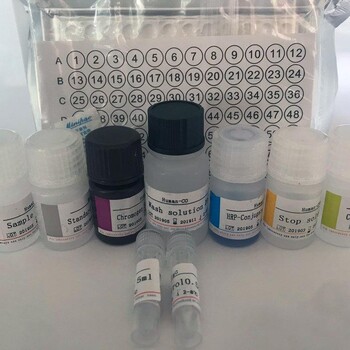 人再生胰島衍生3α;胰石蛋白;胰線蛋白(REG3α)elisa試劑盒