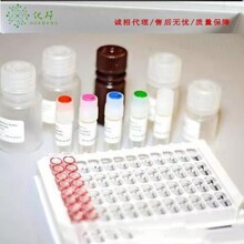 人瘦素分泌型受体(LSR)elisa试剂盒