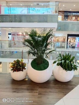 東城慶典花卉綠植組合租賃方案花卉組合出租