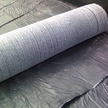 广西防水毯价格膨润土复合防水毯