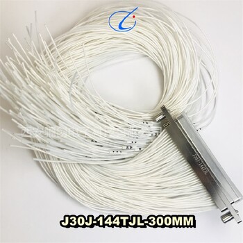 驪創(chuàng)銷售,公母頭,J30J-144TJN-J144芯現(xiàn)貨