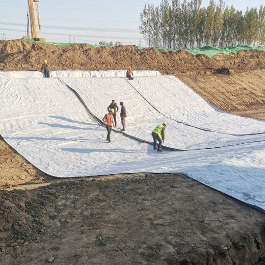 四川屋顶防水毯厂家膨润土复合防水毯