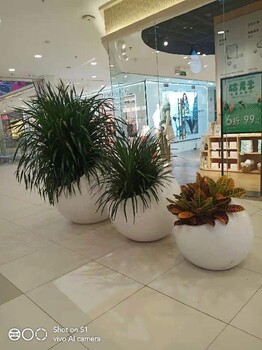 石景山慶典花卉綠植組合租賃多少錢一年花卉組合出租
