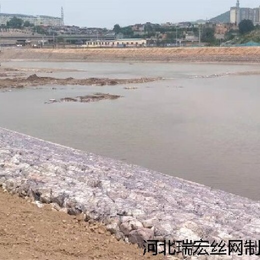 浙江雙隔板雷諾護墊供應商