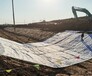 广东屋顶防水毯厂家供应膨润土复合防水毯