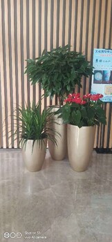 東城慶典花卉綠植組合租賃方案花卉組合出租