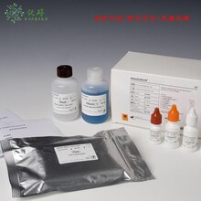 人甜菜碱高半胱氨酸甲基转移酶(BHMT)elisa试剂盒