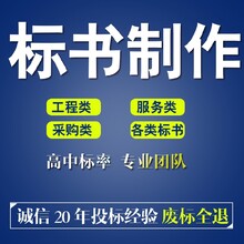 浙江金华代写标书帮您出谋划策,车辆租赁标书代写图片