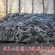 贵州雪浪石图
