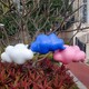 抽象动物云朵雕塑制作产品图