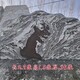 海南雪浪石图