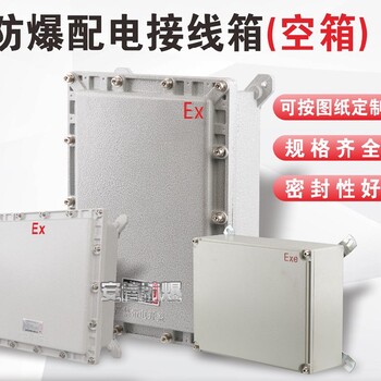 防爆配電箱IIC電源開關(guān)接線箱動力控制箱定制304不銹鋼空箱