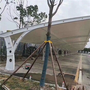 河北拉桿式膜結(jié)構(gòu)車棚采購