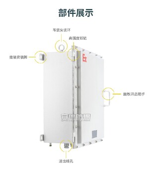 304不锈钢防爆配电箱PLC触摸屏控制柜接线箱按钮端子仪表箱