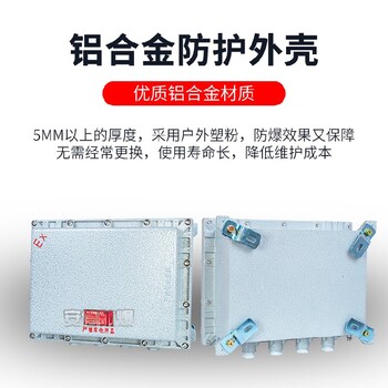 不銹鋼防爆配電箱控制接線箱照明儀表動(dòng)力按鈕箱檢修插座箱變頻柜