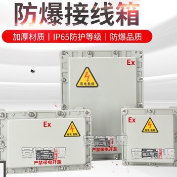 空箱防爆配電箱不銹鋼照明動力檢修插座箱防爆箱控制柜接線箱電箱