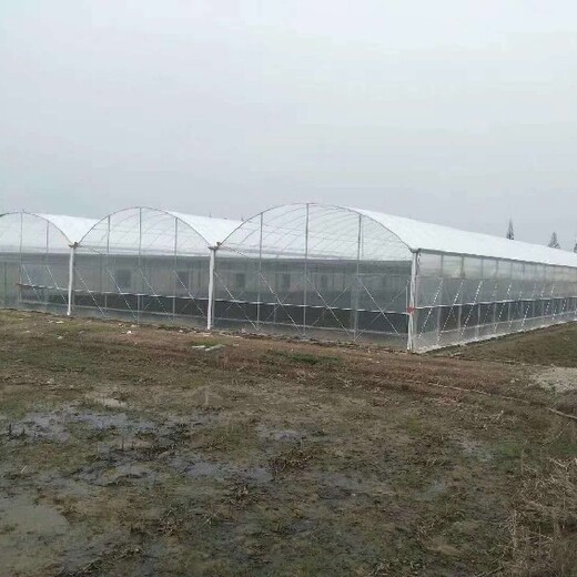 郴州玻璃园艺温室大棚规划建造
