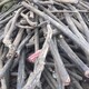 顺德区陈村镇废旧电缆电线回收厂家产品图