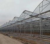 新型一道农业新疆温室大棚材料供应