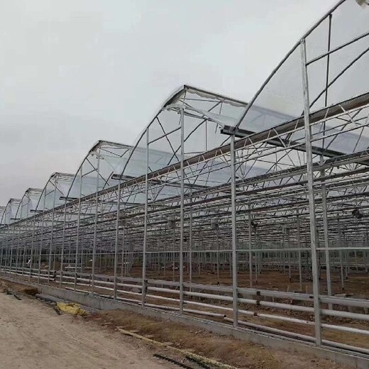 玻璃新疆温室大棚规划建造