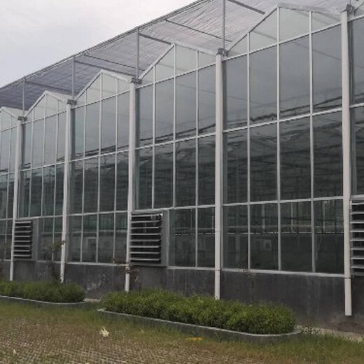 舟山玻璃设施温室大棚实体工厂