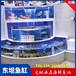 惠城水口玻璃海鲜缸循环水布置图制冷鱼池机安装维修