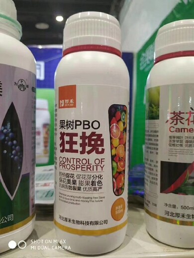 瓶装控梢vpbo果树促控剂是什么,安全控梢保花保果