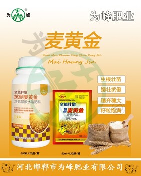大包裝胖墩麥黃金小麥葉面肥廠(chǎng)家,小麥葉面肥麥黃金