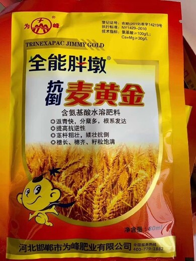 小包裝胖墩麥黃金小麥葉面肥總代理,小麥抗倒增產(chǎn)麥黃金