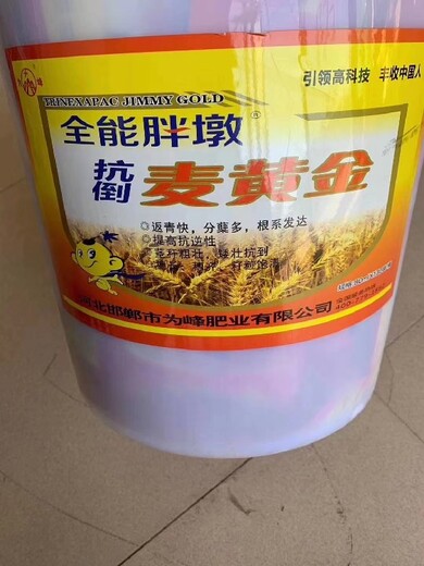 袋裝胖墩麥黃金小麥葉面肥水溶肥,小麥葉面肥麥黃金