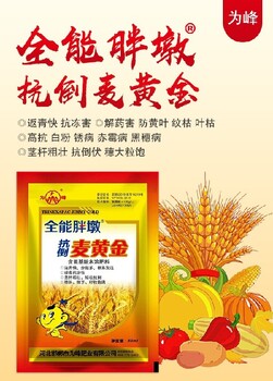 小包装胖墩麦黄金小麦叶面肥用法用量,为峰肥业麦黄金