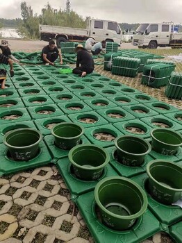 合川常綠耐寒人工浮島造型美觀