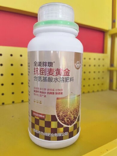 小包裝胖墩麥黃金小麥葉面肥廠家,小麥抗倒增產(chǎn)麥黃金
