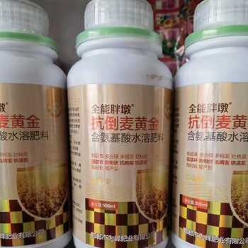 飛防用胖墩麥黃金小麥葉面肥能增產么,為峰肥業麥黃金