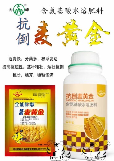 为峰肥业胖墩麦黄金小麦叶面肥用法用量,小麦抗倒增产麦黄金