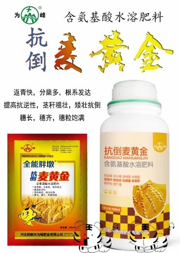 飛防用胖墩麥黃金小麥葉面肥用法用量,小麥葉面肥麥黃金