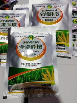 飛防用胖墩麥黃金小麥葉面肥總代理,麥黃金小麥葉面肥