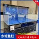 广州东山三组玻璃鱼池
