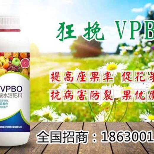 小包装化叶vpbo果树促控剂好不好,pbo厂家批发招商